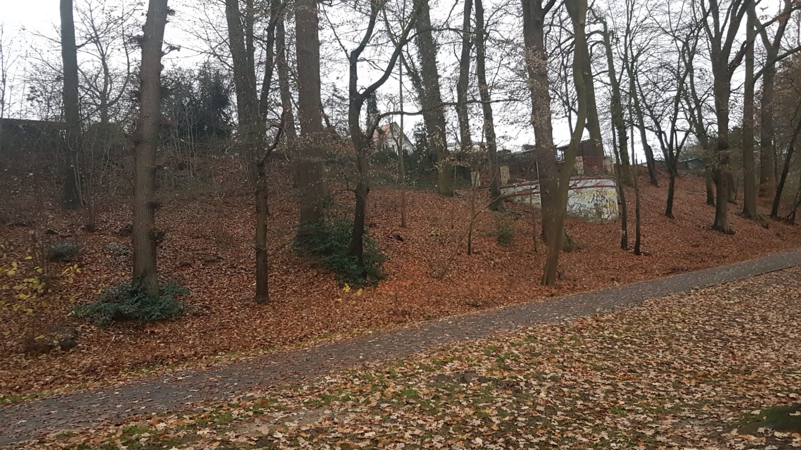Hagenwäldchen Maiwiese Enger